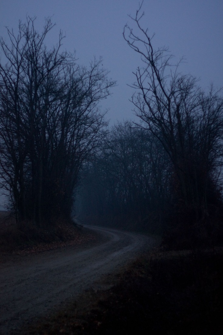 dark markets denmark