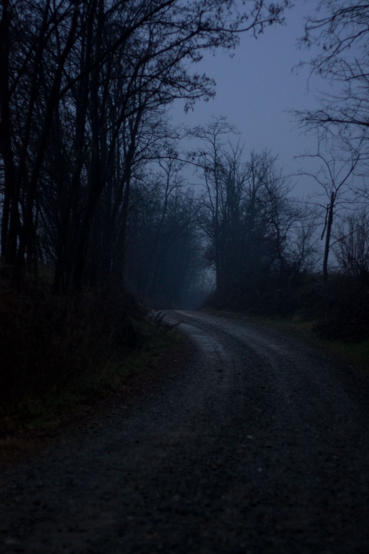 dark web links 2025 reddit