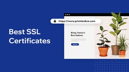 deep website search engine