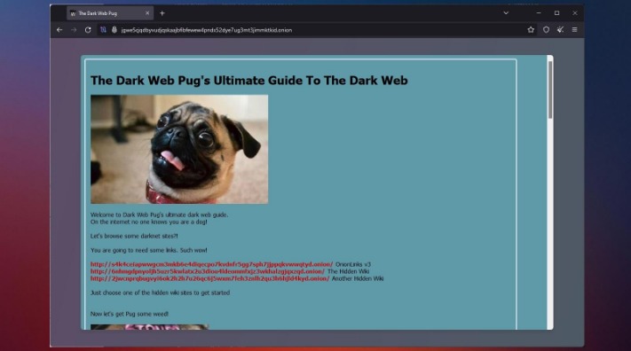 how to access the dark web reddit