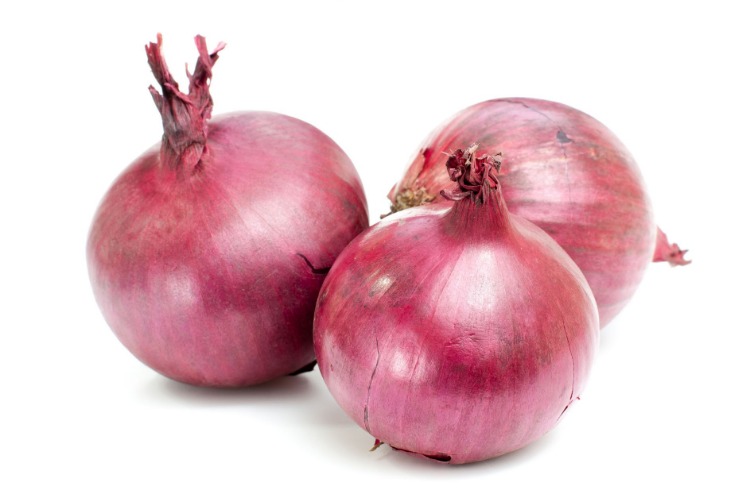 onion dark website