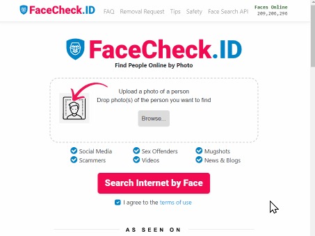 search engine dark web