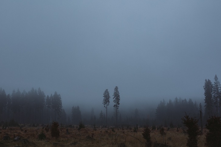 dark web drug market 2024