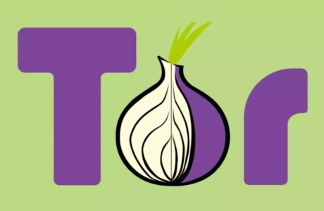 onion domain and kingdom