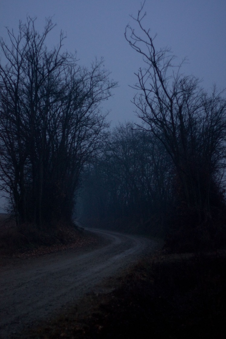 dark markets hungary