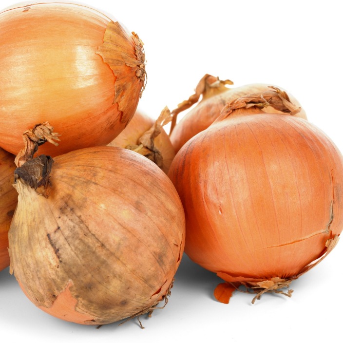onion links sites