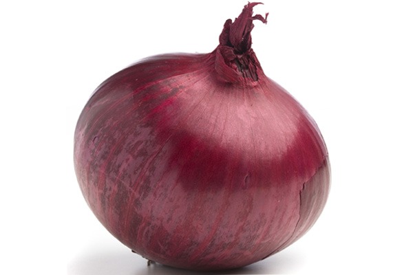 onion links sites