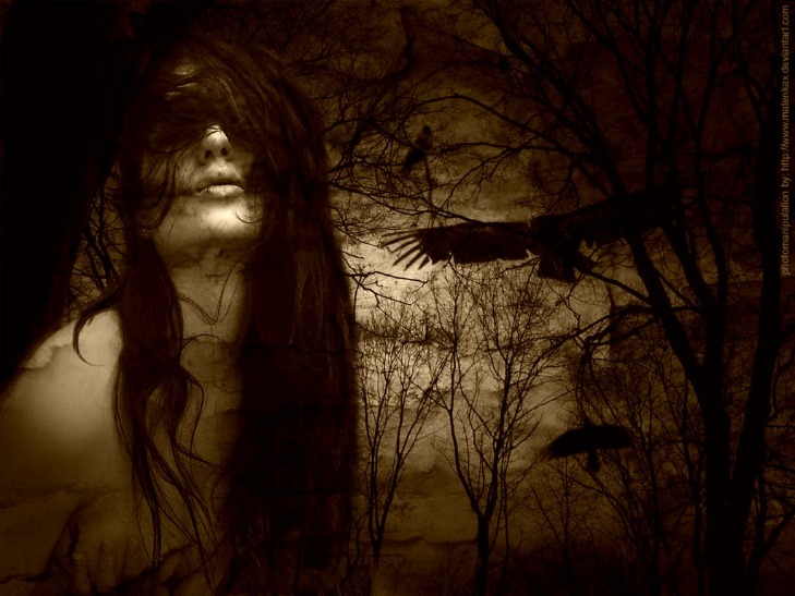 dark web prepaid cards reddit