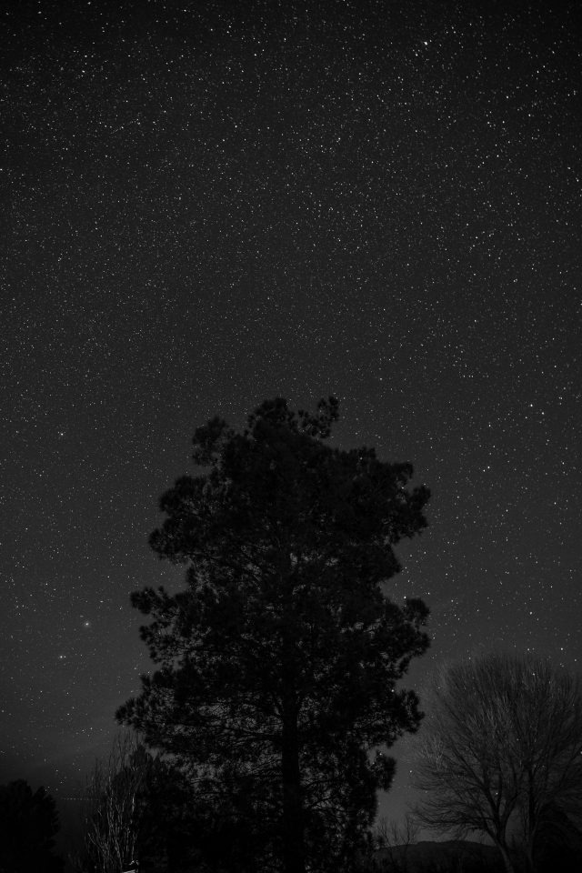 dark web links reddit