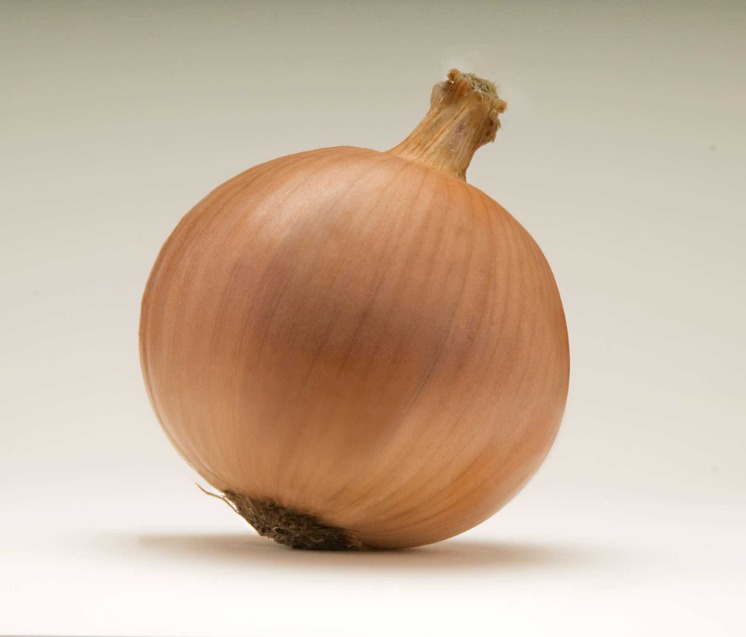onion darknet market