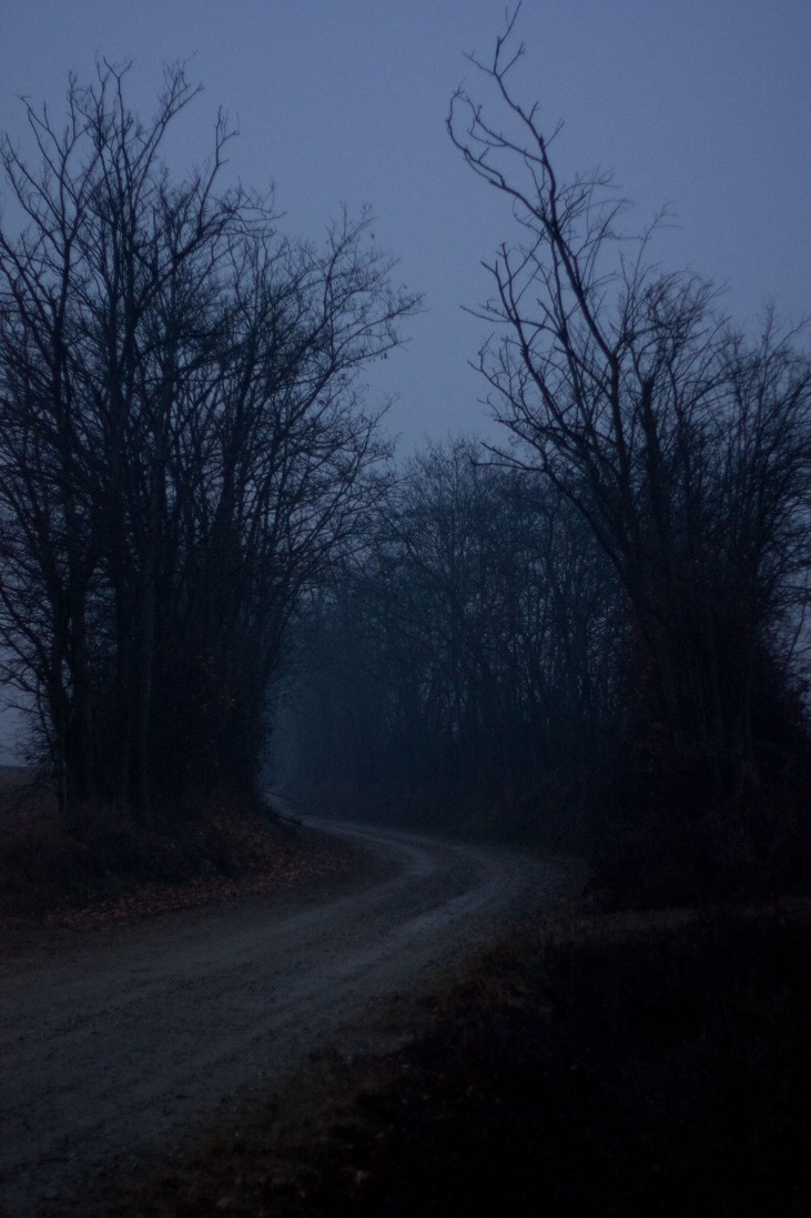 dark markets estonia