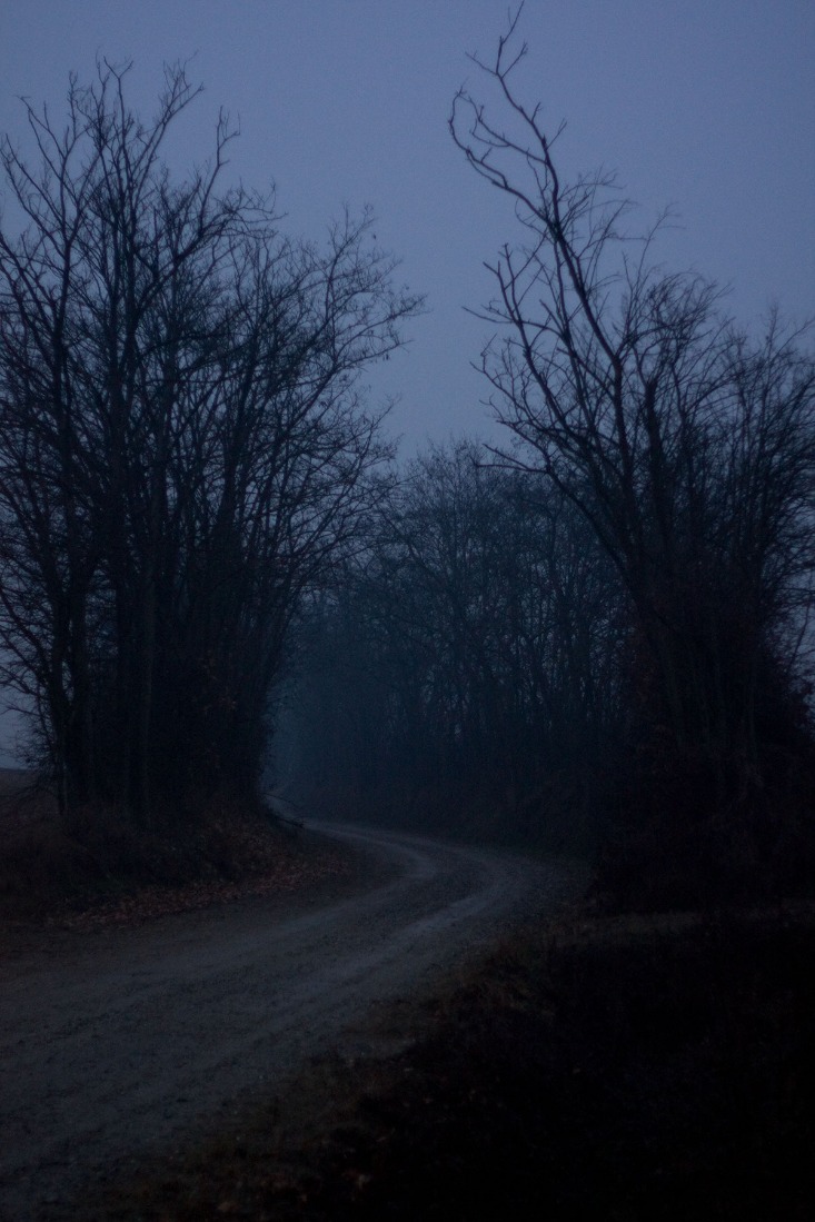 dark web market reviews