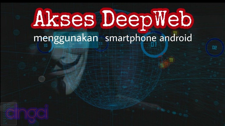 2024 darknet markets