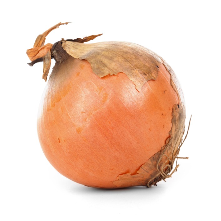 onion directory