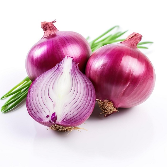 onion directory