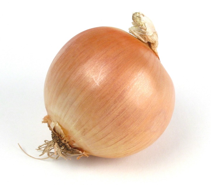 onion directory 2025
