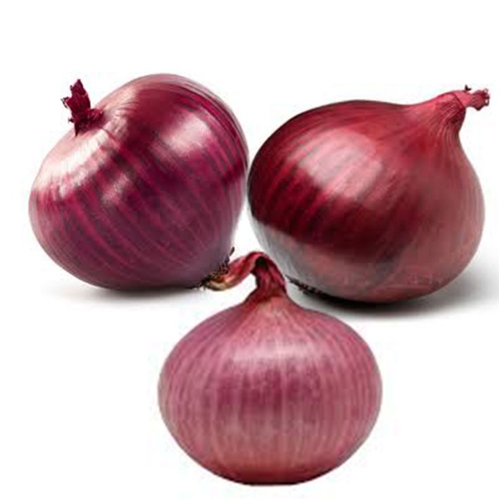 onion directory 2025