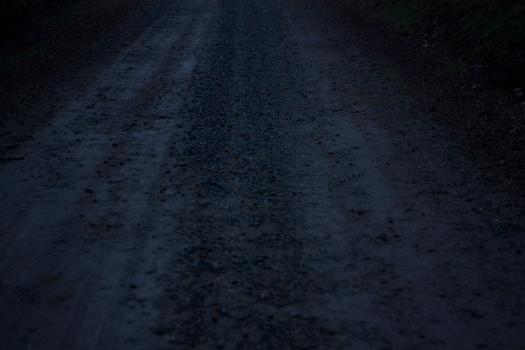 dark web search engines 2023