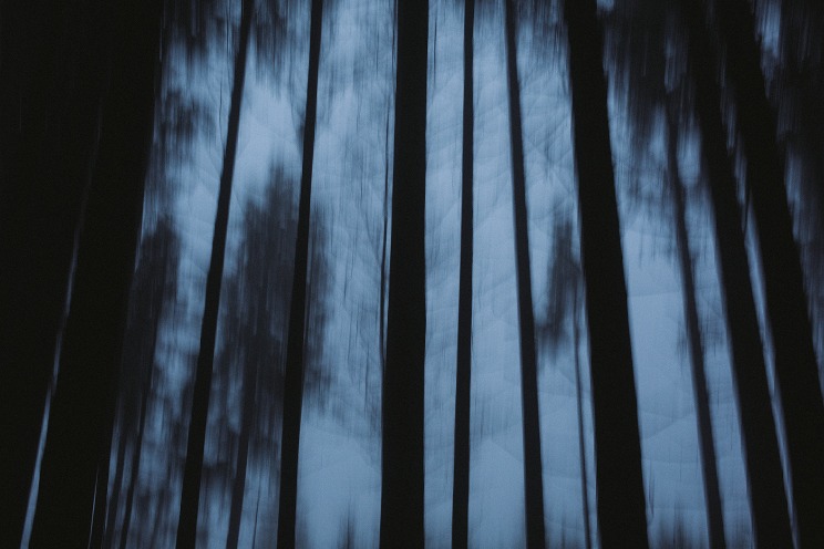 dark web markets 2024 reddit