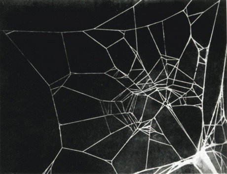 buy drugs from darknet