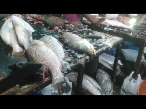dn market