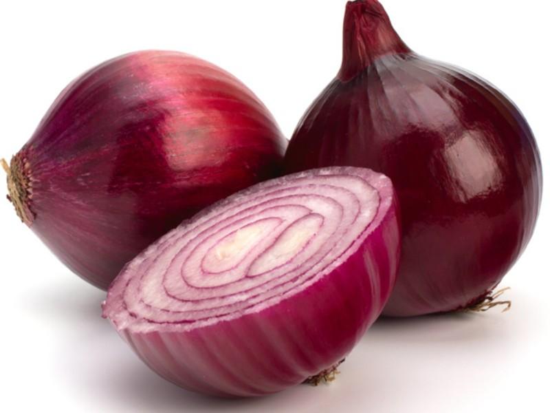 onion deep web search