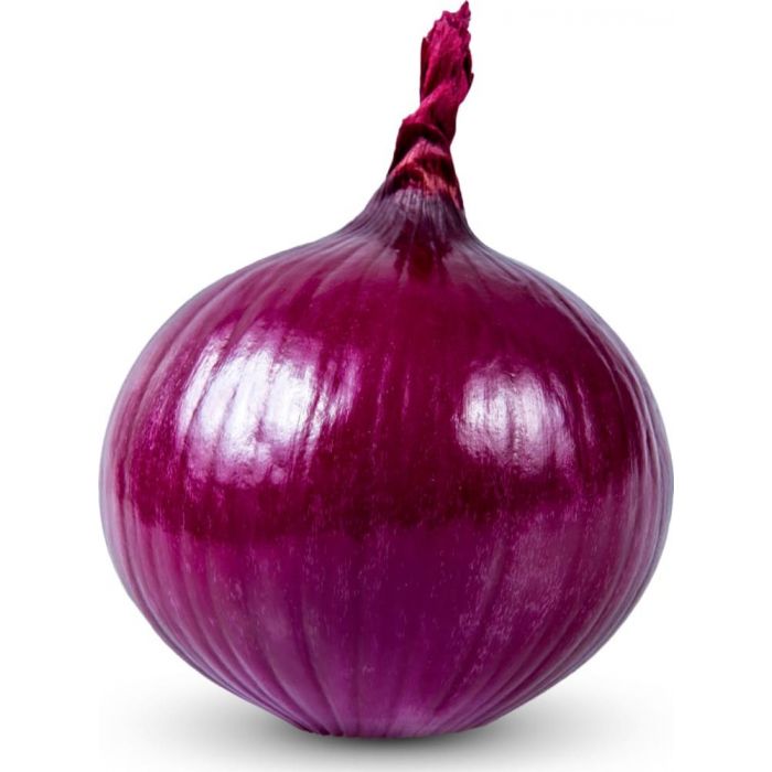 onion directory
