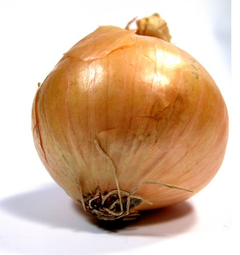 onion directory 2025